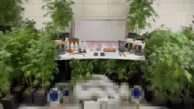 Bursa İl Jandarma Komutanlığı ekiplerince İnegöl ilçesinde bir eve düzenlenen