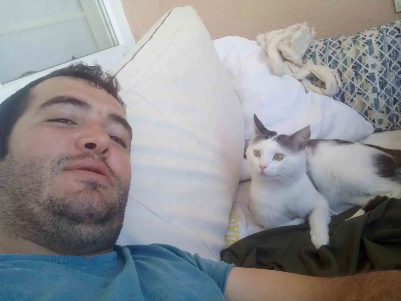 Geçen yıl kurban bayramında kaybettiği kedisini 8 aydır arayan Muğlalı