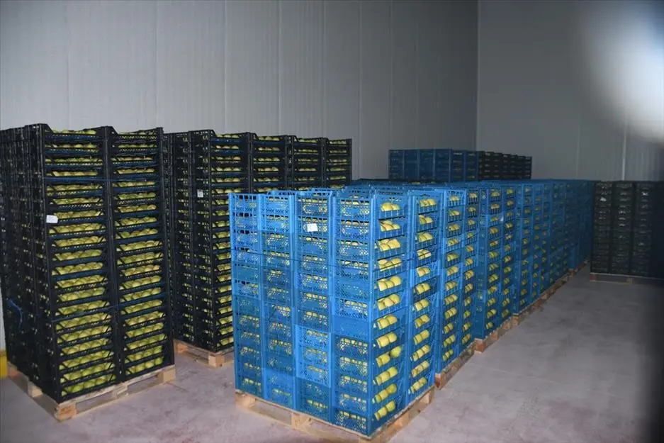 Kestel Belediye Başkanı Ferhat Erol, ilçeye 400 milyon liralık yatırımla meyve kurutma