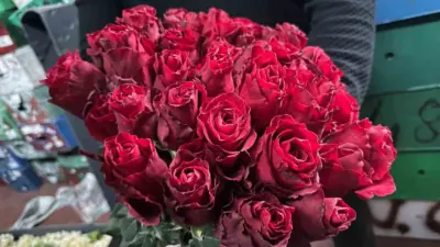 Üretim bölgelerindeki zirai don, yağış ve sel sebebiyle kırmızı gülde