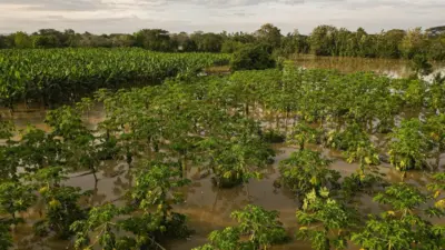 Kolombiya Ulusal Afet Risk Yönetimi Birimi’nin (UNGRD) raporlarına göre, ülkede