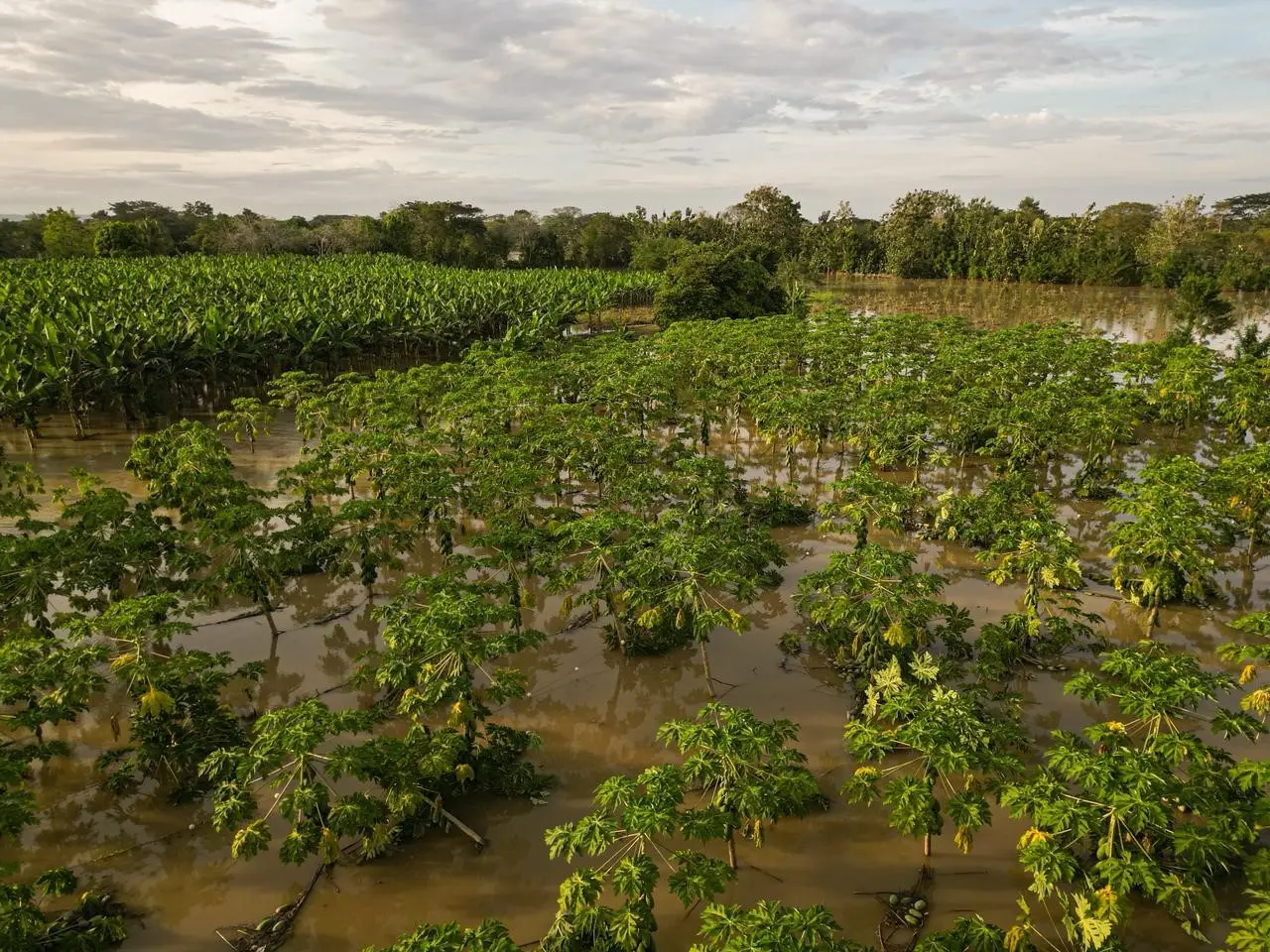 Kolombiya Ulusal Afet Risk Yönetimi Birimi’nin (UNGRD) raporlarına göre, ülkede