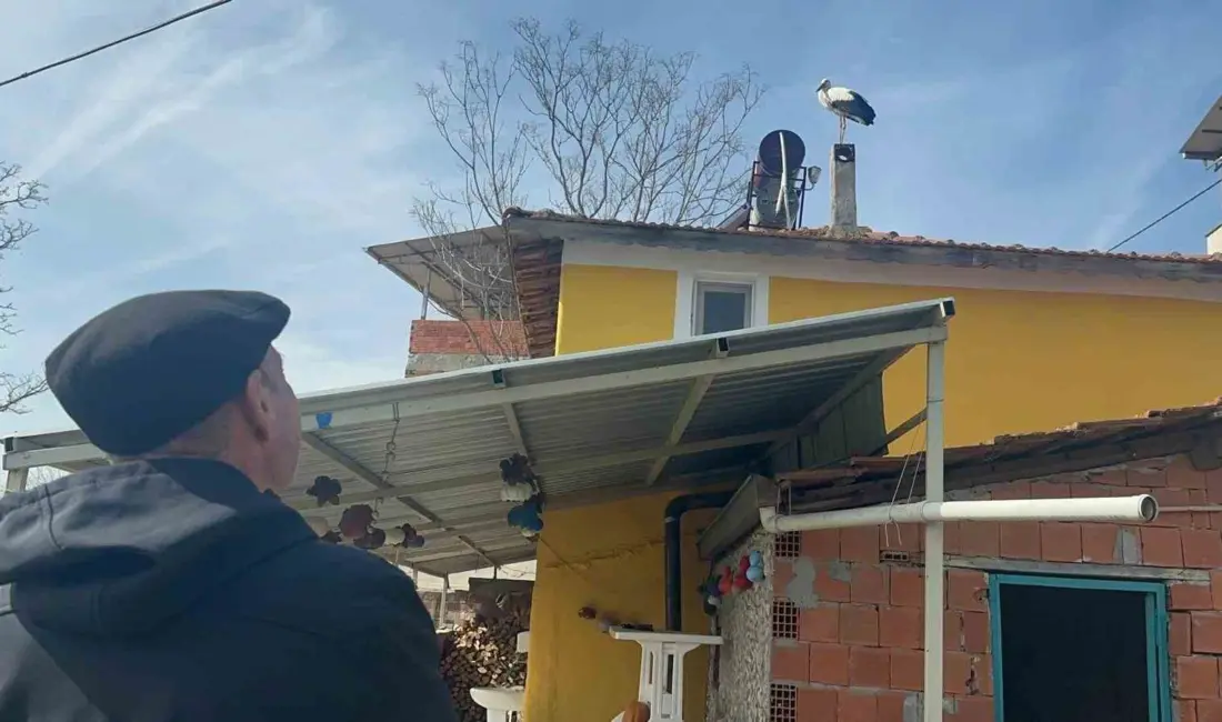 Bursa’nın Karacabey ilçesine bağlı Eskikarağaç Mahallesi’nde (Leylek köyü), balıkçı Adem