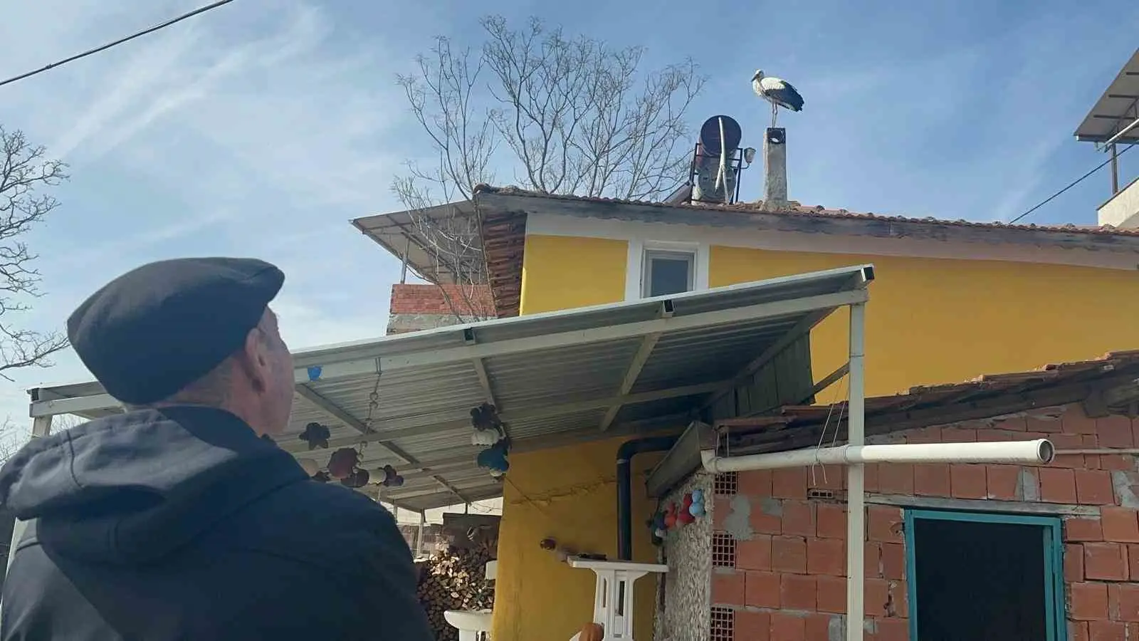 Bursa’nın Karacabey ilçesine bağlı Eskikarağaç Mahallesi’nde (Leylek köyü), balıkçı Adem