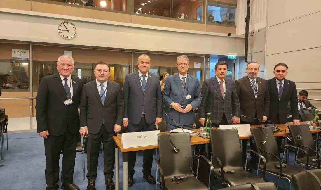 Milliyetçi Hareket Partisi Erzurum Milletvekili ve Avrupa Güvenlik ve İşbirliği