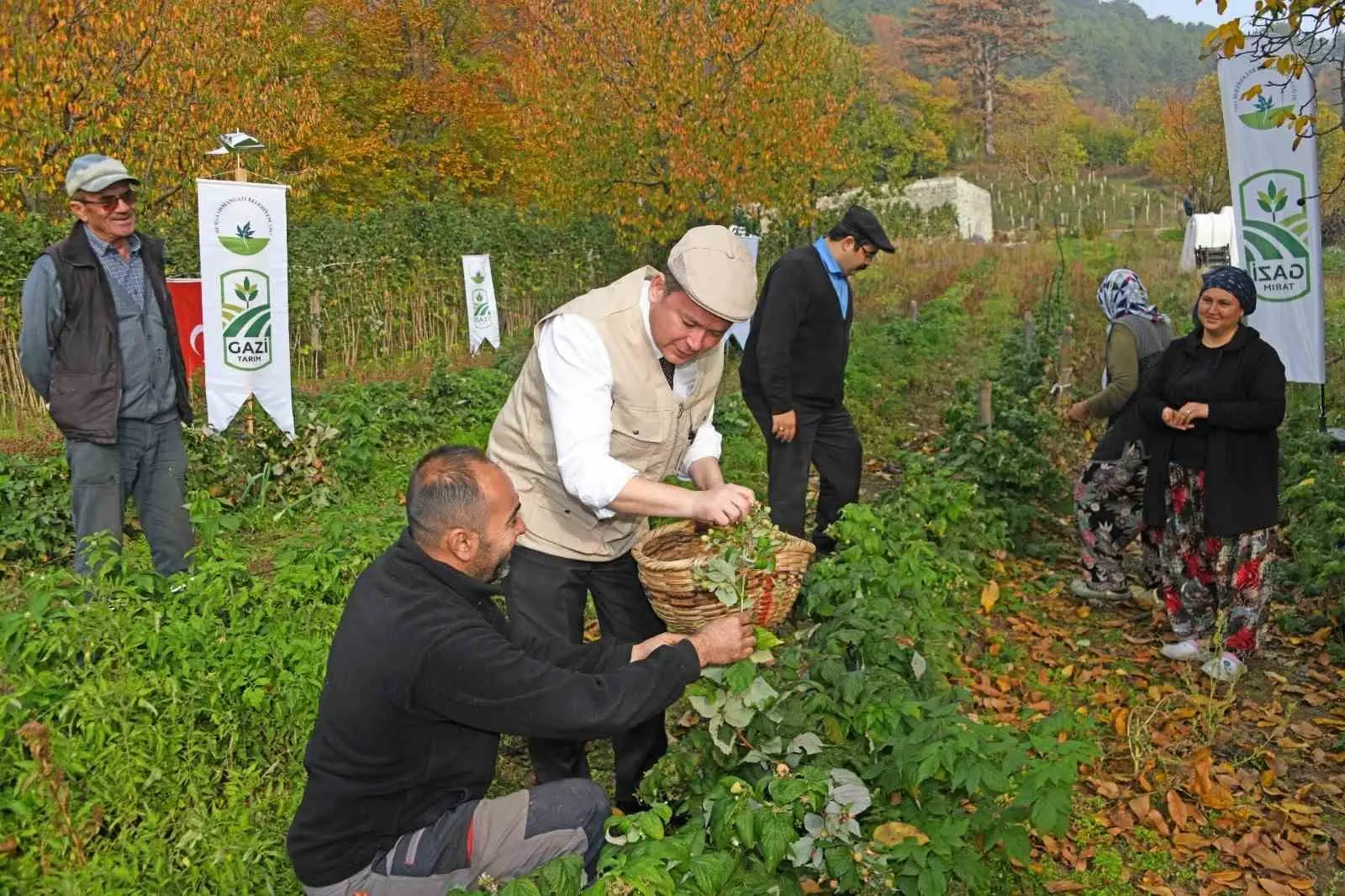 Osmangazi Belediye Başkanı Erkan Aydın, dağ köylerinde ahududu üretimine ilişkin