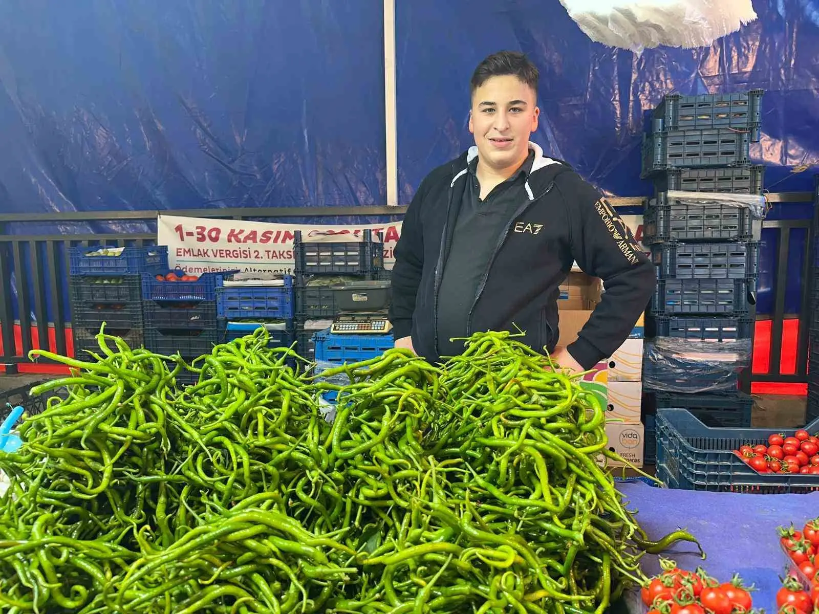 Ocak sonunda 80-100 liradan satılan sivri biberin kilosu, Antalya’daki seraların