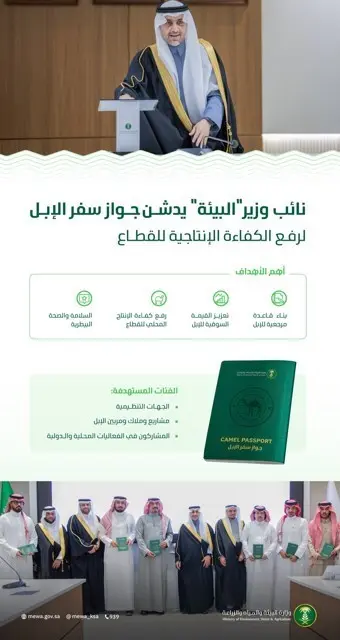 Suudi Arabistan’da yerel deve popülasyonu için pasaport uygulaması tanıtıldı. Suudi