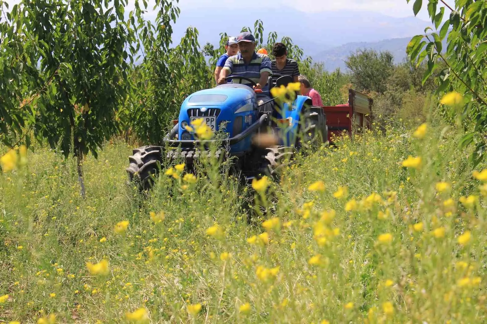 Türkiye’deki 2 milyon 315 bin 504 traktörün yüzde 34’ü 10