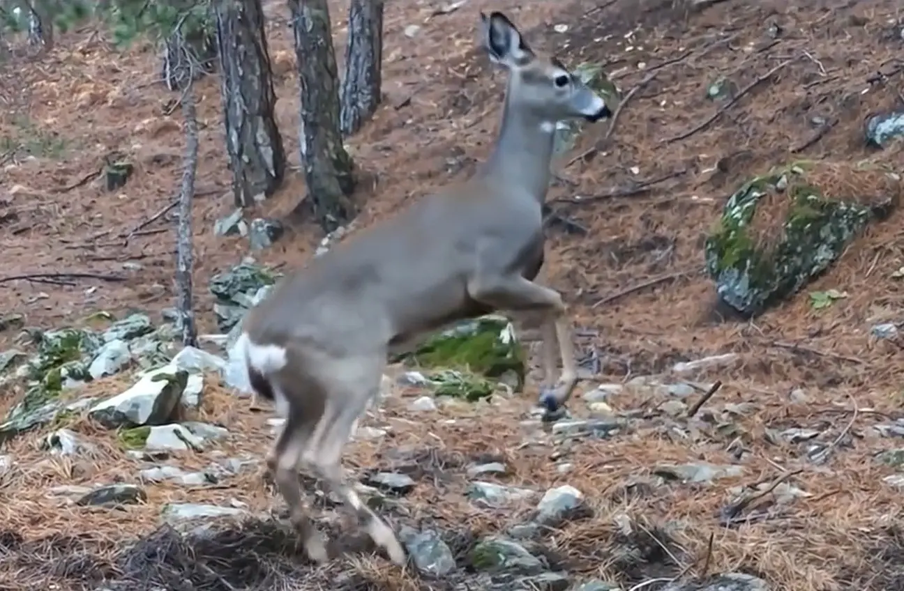 Doğa ve kış turizminin önemli merkezlerinden Uludağ Milli Parkı sınırları