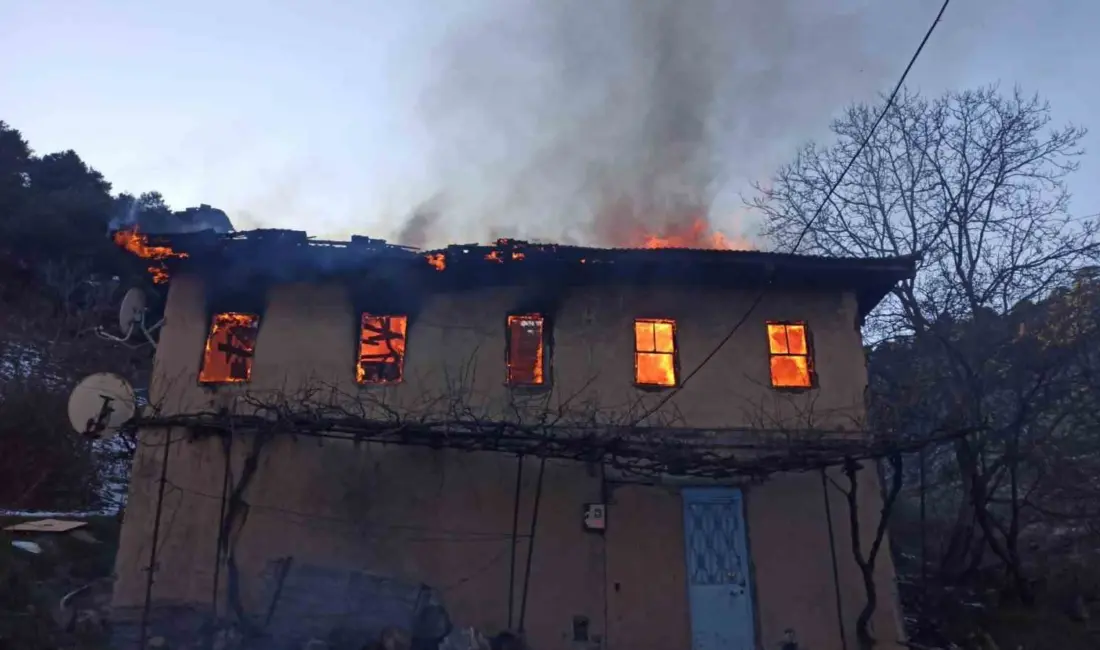 Bursa’nın Gürsu ilçesinde bir evde çıkan yangında 83 yaşındaki kadın