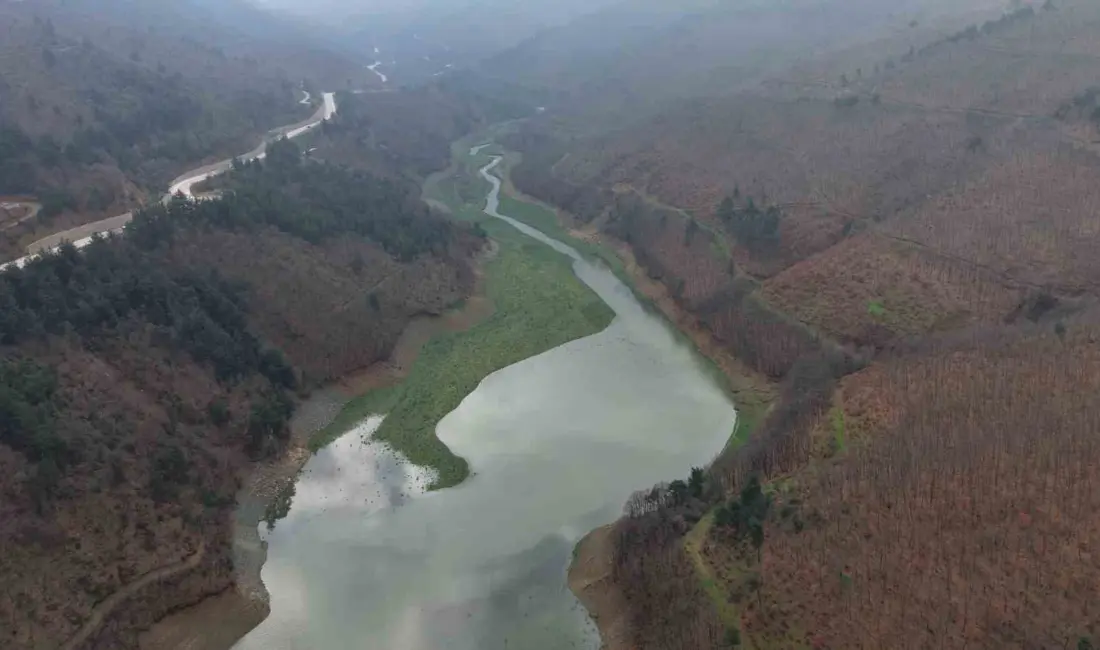 Bursa’da yağışlar ve zirvedeki karların erimeye başlamasının etkisiyle Uludağ’ın eteklerindeki