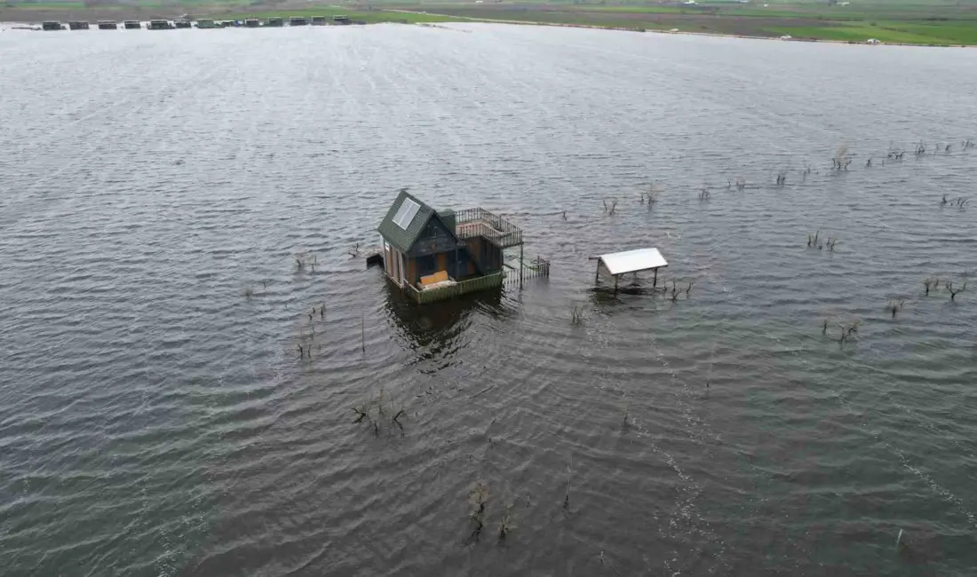 Bursa’da Ulubat Gölü’nün taşmasıyla göle komşu Akçalar Mahallesi’nde onlarca tiny