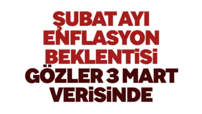 Ekonomistlerin katıldığı beklenti anketine göre şubat ayında enflasyonun aylık bazda