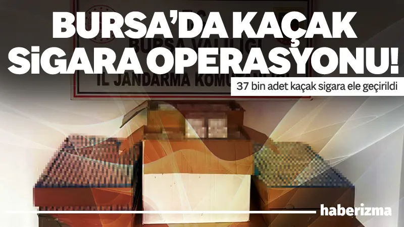 Bursa İl Jandarma Komutanlığı ekiplerince kaçakçılıkla mücadele kapsamında Yıldırım ilçesinde