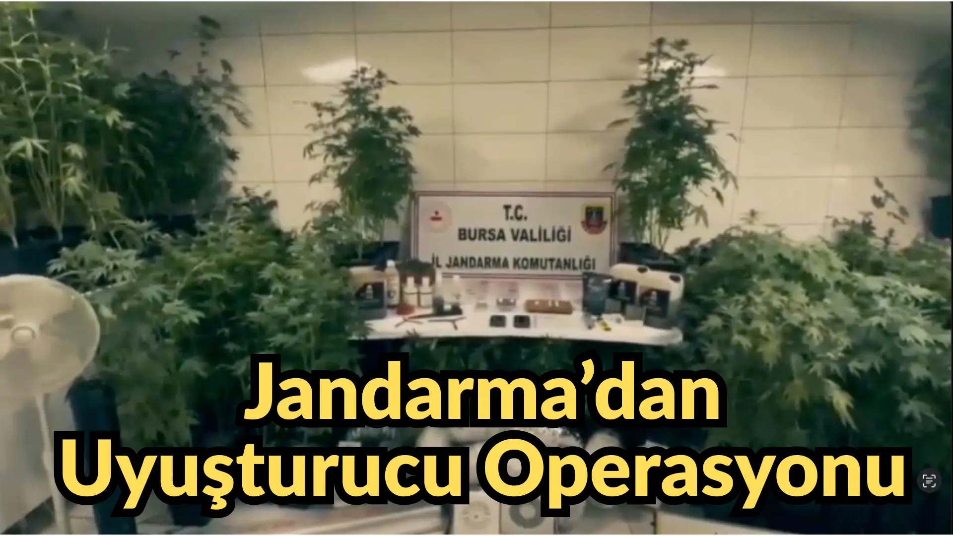 Bursa İl Jandarma Komutanlığı ekipleri, uyuşturucu ile mücadele kapsamında gerçekleştirdiği