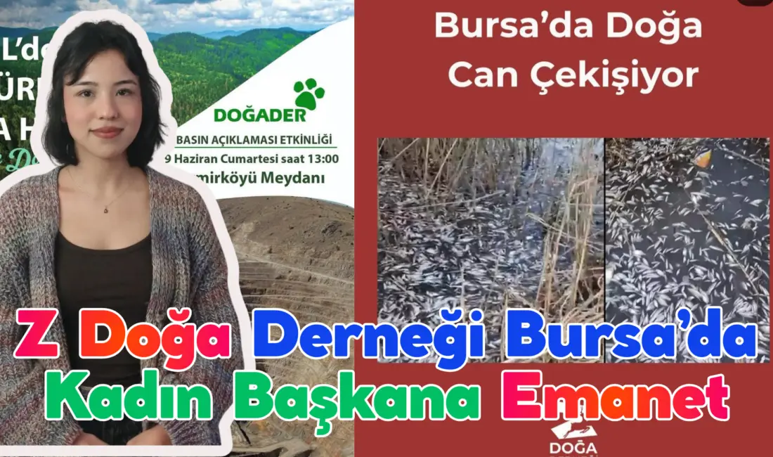 Çevreci gençlerin oluşturduğu Z Doğa Derneği’nin yeni başkanı Bursa Temsilcisi