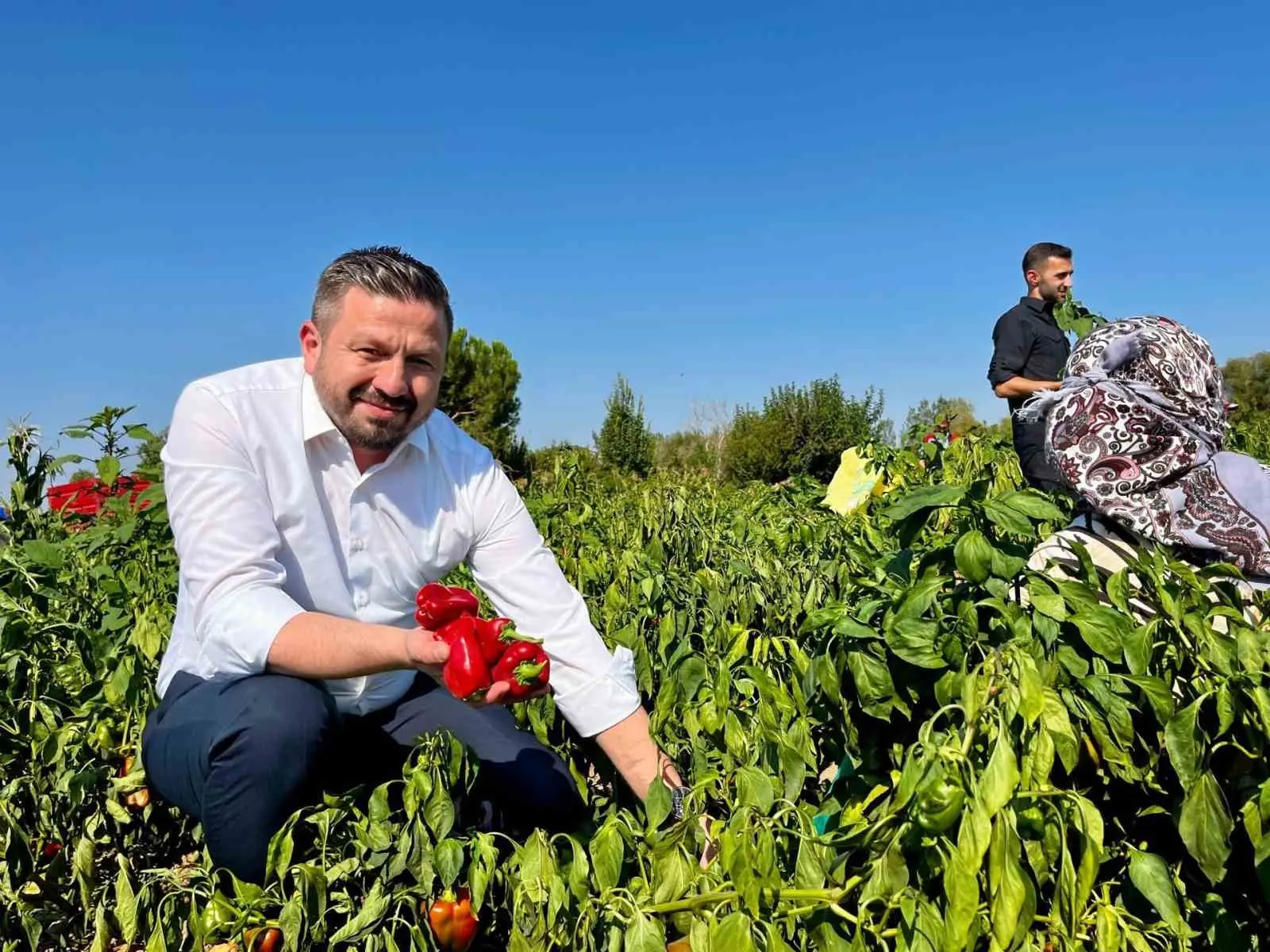 Balıkesir tarımı için beklenen müjde AK Parti Balıkesir İl Başkanı