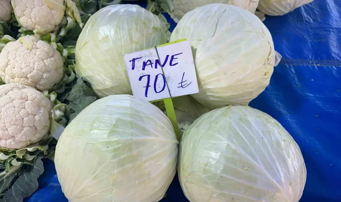 Beyaz lahanada üretici fiyatları geçen yıla göre 15 liradan yüzde