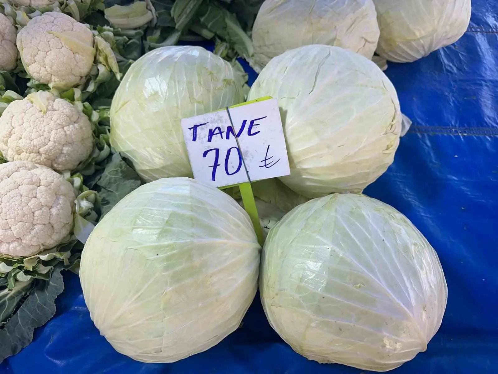 Beyaz lahanada üretici fiyatları geçen yıla göre 15 liradan yüzde