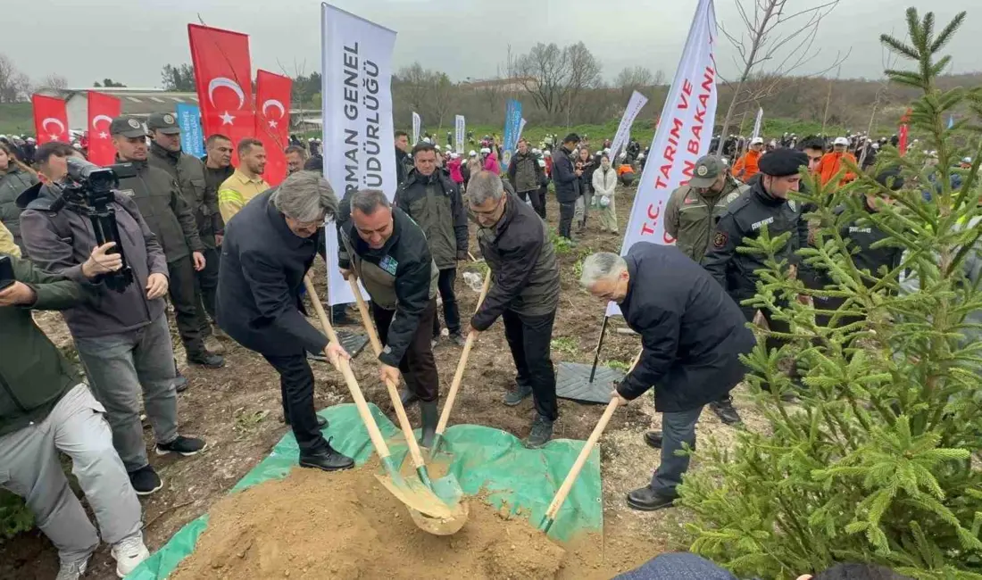 Bursa Uludağ Üniversitesi Görükle Yerleşkesi’nde 2024 yılı yazında çıkan orman