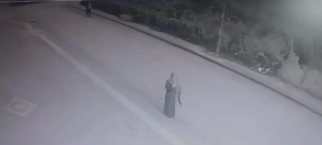 Bursa’nın Osmangazi ilçesinde bir kadına yönelik gerçekleştirilen kapkaç olayı güvenlik