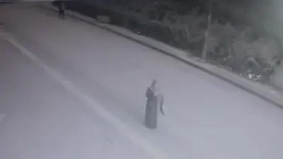 Bursa’nın Osmangazi ilçesinde bir kadına yönelik gerçekleştirilen kapkaç olayı güvenlik