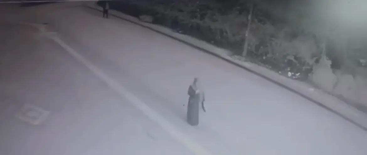 Bursa’nın Osmangazi ilçesinde bir kadına yönelik gerçekleştirilen kapkaç olayı güvenlik