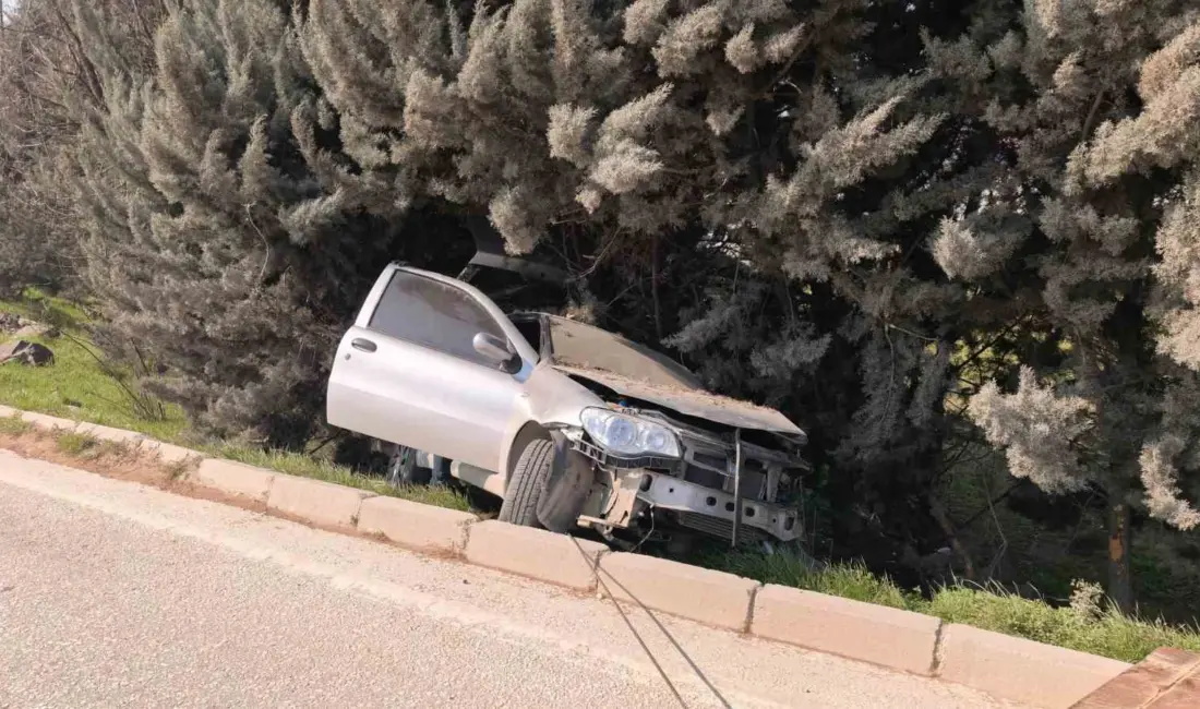 Bursa’nın İnegöl ilçesinde meydana gelen kazada kontrolden çıkan otomobil ağaçlık