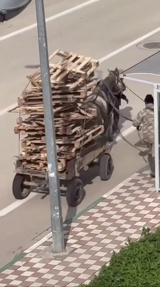 Bursa’nın Karacabey ilçesinde bir kişinin at arabasına üst üste palet