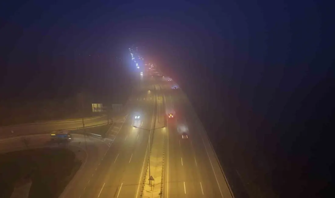 Bursa-Mudanya kara yolunda akşam saatlerinde etkili olan sis, sürücülere zor