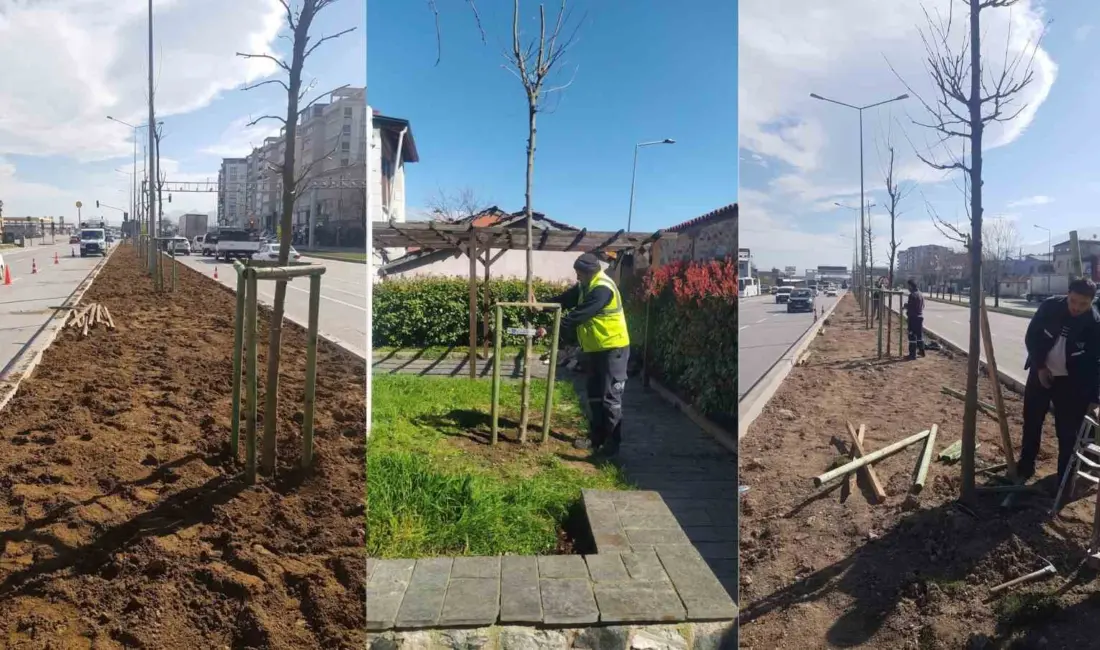 Bursa Büyükşehir Belediyesi tarafından ‘Bursa’nın Fethinin 700. Yılı’ kapsamında önemli