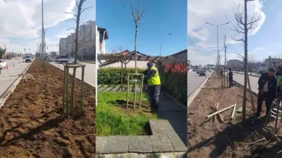 Bursa Büyükşehir Belediyesi tarafından ‘Bursa’nın Fethinin 700. Yılı’ kapsamında önemli