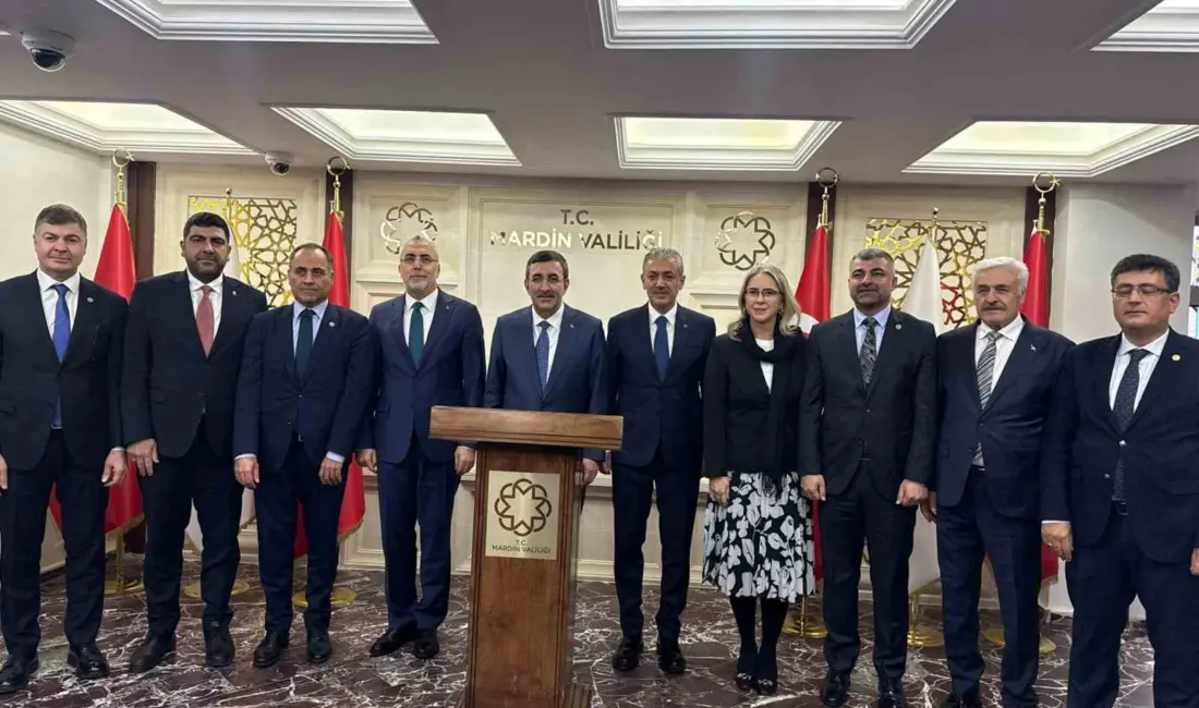 Cumhurbaşkanı Yardımcısı Cevdet Yılmaz, bir dizi ziyaret ve temaslarda bulunmak