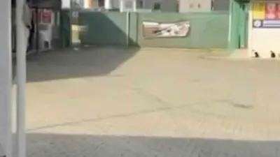 BURSA (İHA) – Bursa’nın Gemlik ilçesinde ilçe belediyesine ait barınaktan