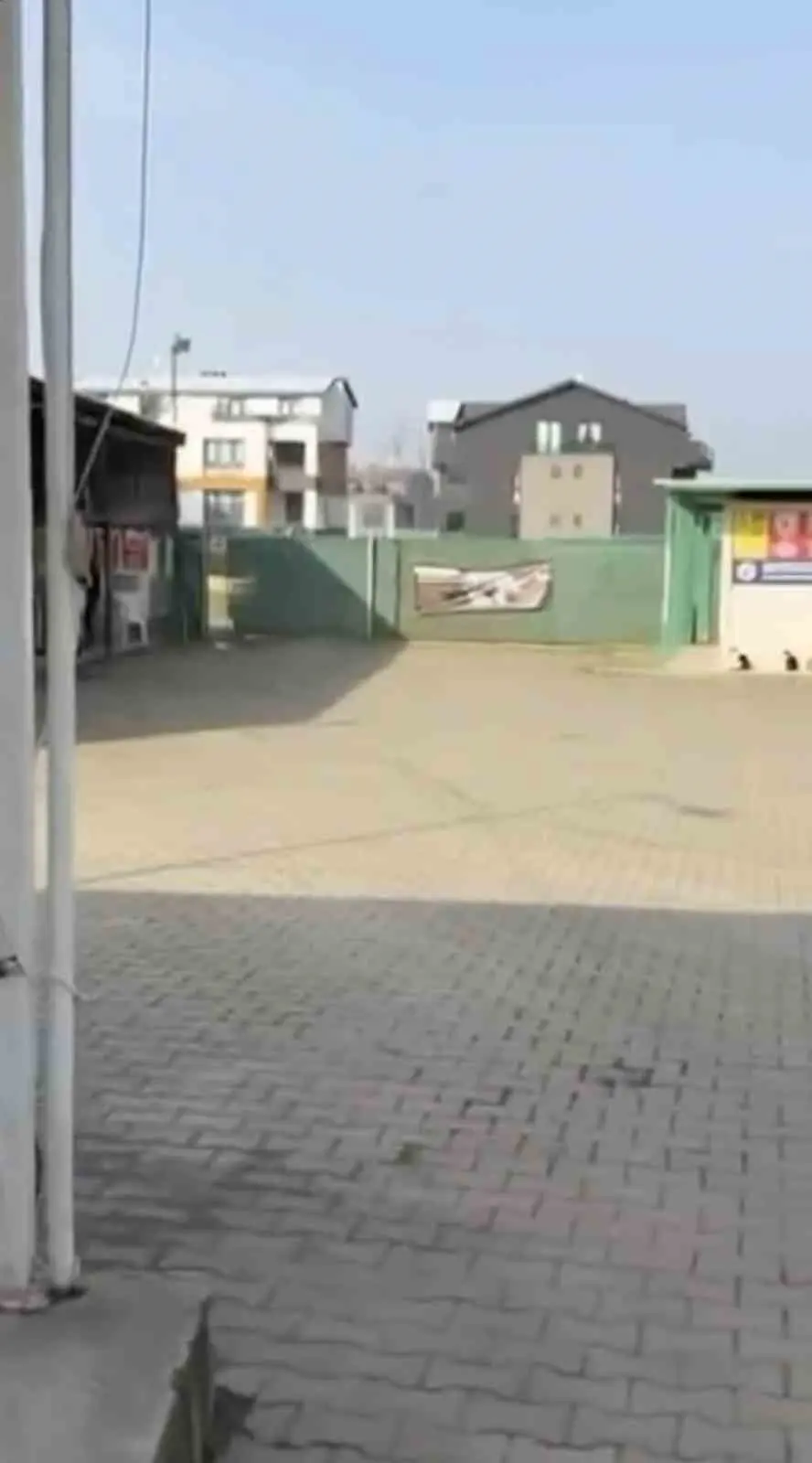 BURSA (İHA) – Bursa’nın Gemlik ilçesinde ilçe belediyesine ait barınaktan