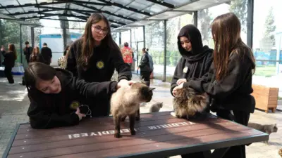 Yıldırım Belediyesi, Cumalıkızık Sahipsiz Hayvan Bakımevi ve Tedavi Merkezi ile