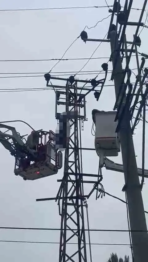 -Bursa’da, iddiaya göre, hırsızlık yapmak için elektrik direğine çıkan bir