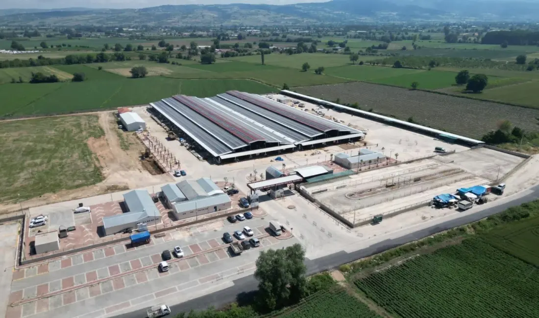 İnegöl Belediyesi Hayvan Pazarının Kurban Bayramı kotra ihale tarihi belli