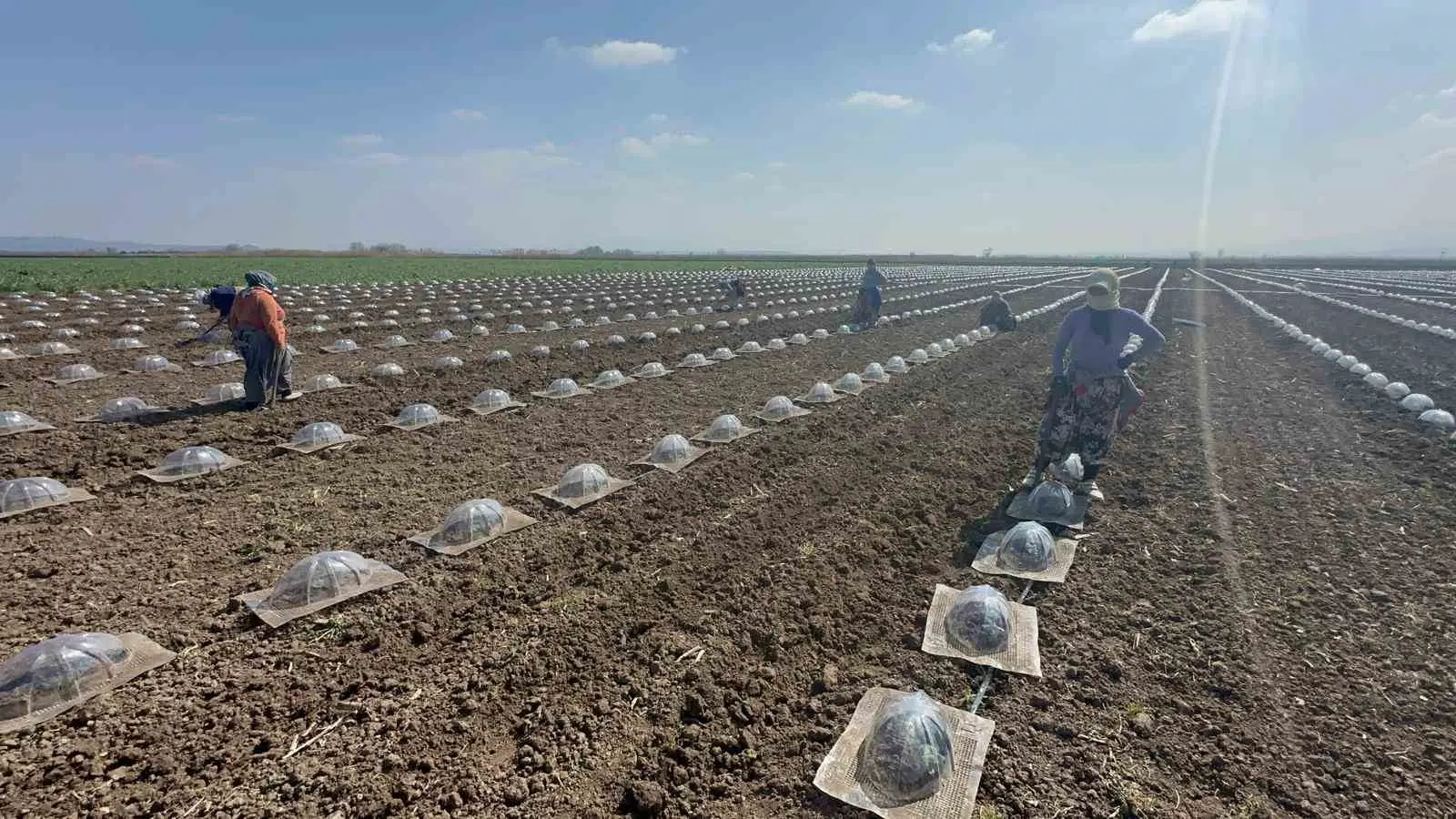 Bursa’nın sebze üretimiyle önde gelen ve verimli topraklarıyla bilinen Karacabey