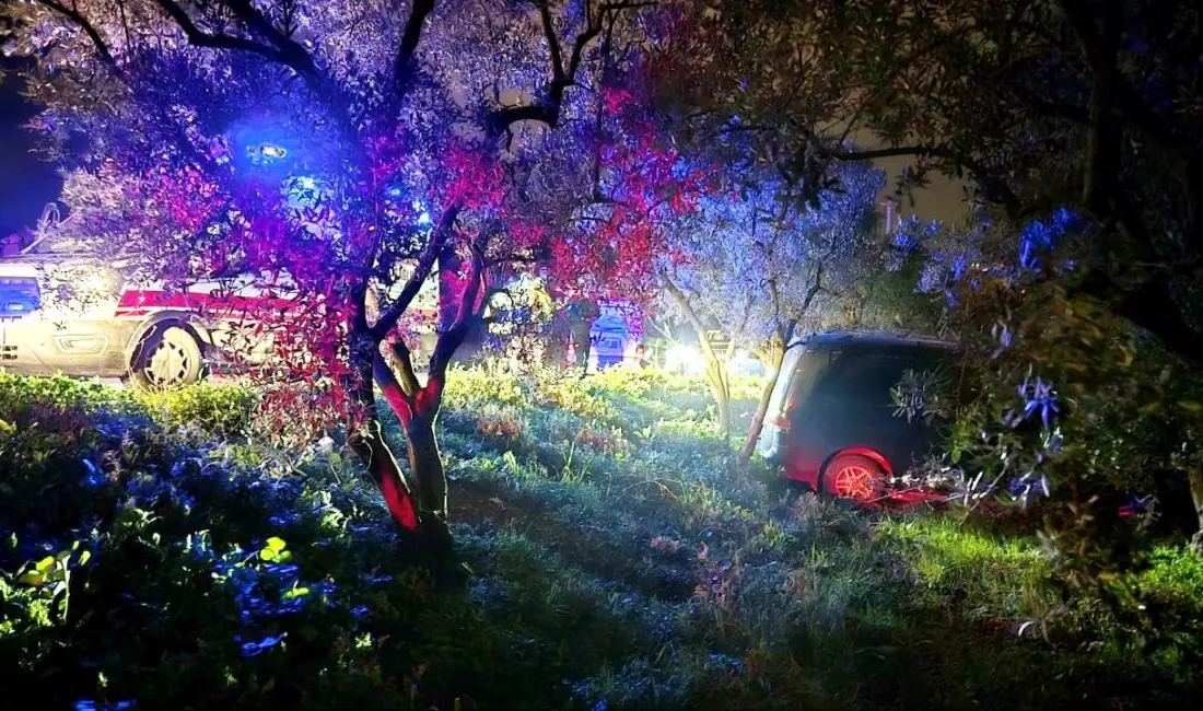 Bursa’nın Mudanya ilçesinde gece saatlerinde meydana gelen trafik kazasında, önündeki