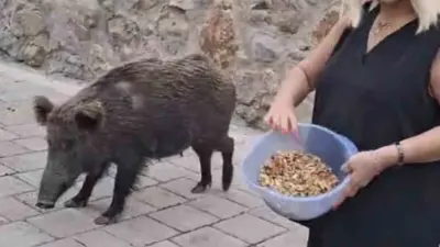 Ramazan Bayramı tatilini Bodrum’da geçiren ünlü sanatçı Safiye Soyman, kapısının