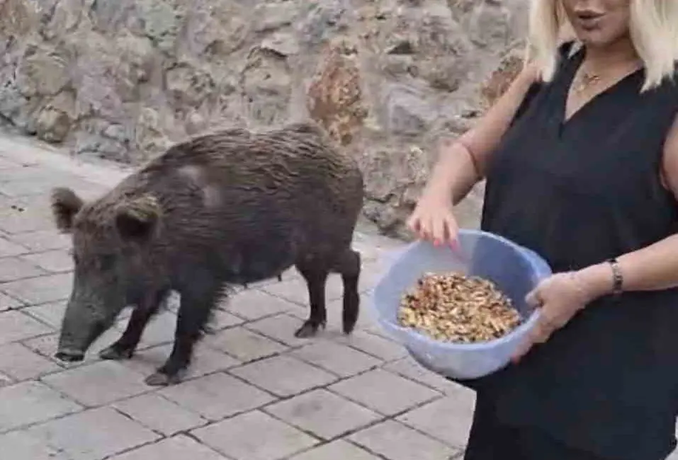 Ramazan Bayramı tatilini Bodrum’da geçiren ünlü sanatçı Safiye Soyman, kapısının