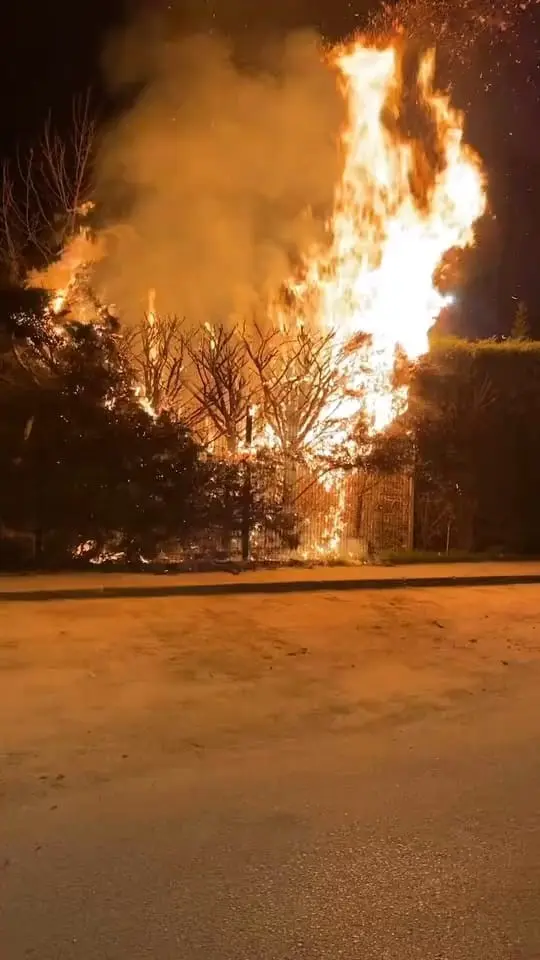 Bursa’nın İnegöl ilçesinde bulunan Botanik Park’ta çıkan yangında bir ağaç