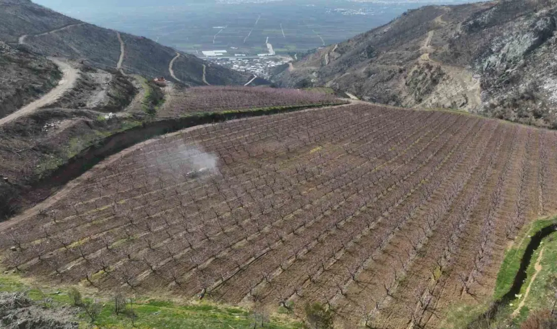 Bursa’nın Gürsü ilçesinde geçen yıl çıkan yangında yüksek kesimlerde alevlerin