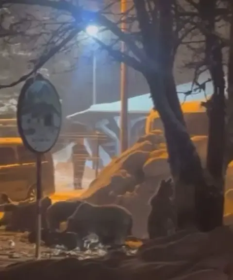 Türkiye’nin önemli kış turizm merkezlerinden Uludağ’da kar kalınlığı yaklaşık 2