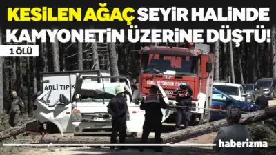 Bursa Uludağ’da ormanda kesilen çam ağacının seyir halindeki kamyonetin üzerine