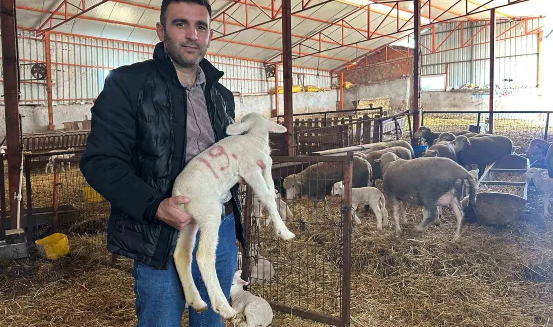 Balıkesir’in Manyas ilçesine bağlı kırsal Eşen Mahallesi’nde 57 önce kuralan