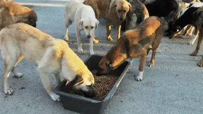 İstanbul Valiliği, Doğa Koruma ve Milli Parklar Genel Müdürlüğü 1. Bölge