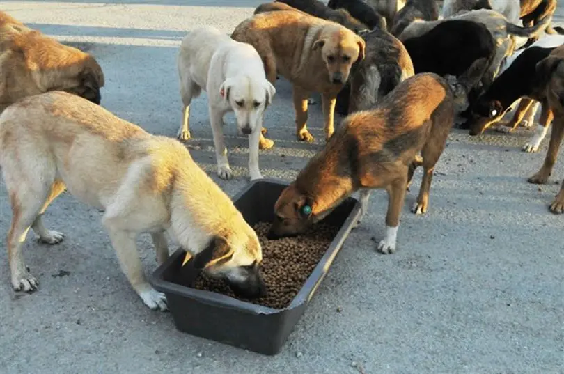 İstanbul Valiliği, Doğa Koruma ve Milli Parklar Genel Müdürlüğü 1. Bölge